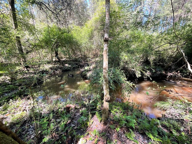 1975 Rook Rd, Ochlocknee, GA 31773 - photo 21
