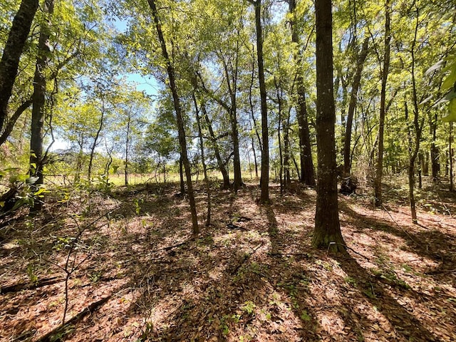 1975 Rook Rd, Ochlocknee, GA 31773 - photo 9