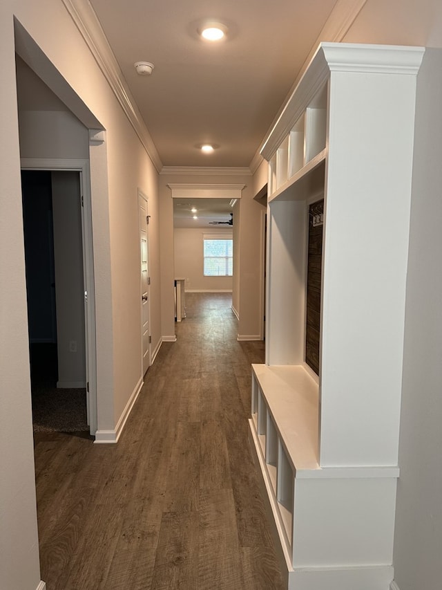 mudroom with crown molding and dark wood-type flooring