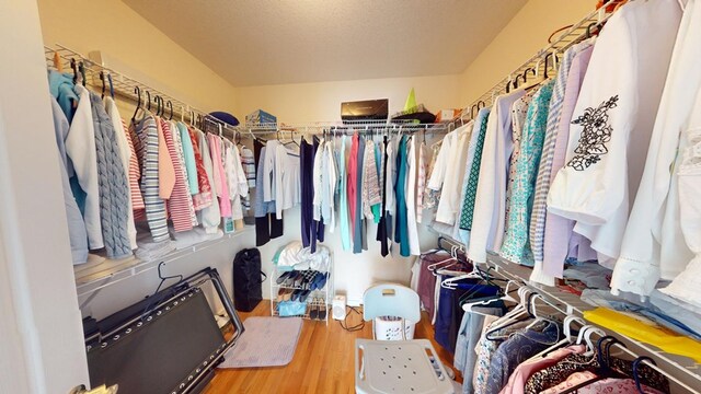 walk in closet featuring hardwood / wood-style flooring