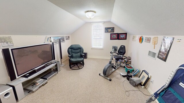 workout room with vaulted ceiling, carpet floors, and a textured ceiling