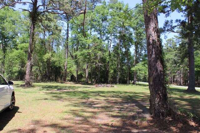 3417 Hall Rd, Thomasville, GA 31757 - photo 6