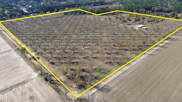 0000 Sanford Rd Unit 47.83, Acres Thomasville GA, 31757 land for sale