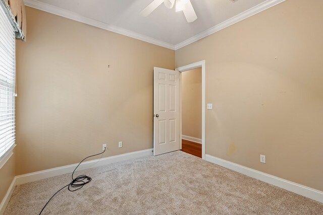 unfurnished room with crown molding, ceiling fan, and carpet