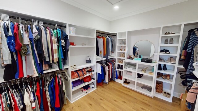 spacious closet featuring wood-type flooring