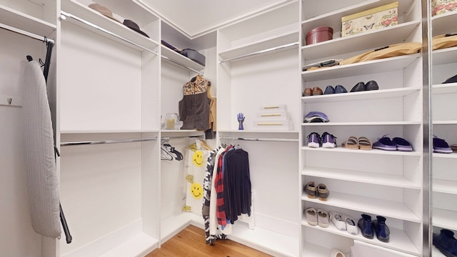walk in closet featuring wood finished floors