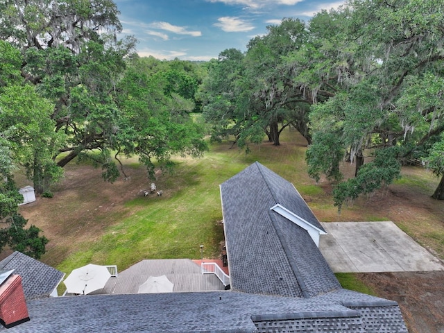 bird's eye view