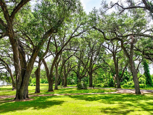 view of home's community featuring a lawn