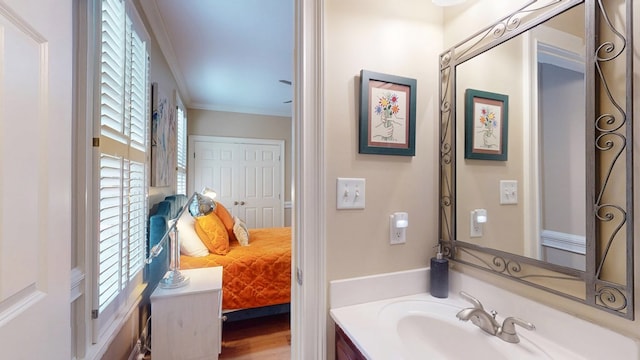 bathroom featuring ornamental molding and vanity