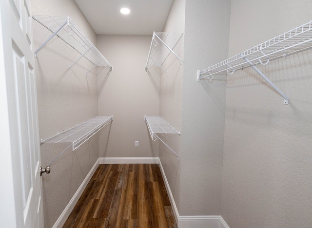 walk in closet featuring dark hardwood / wood-style floors