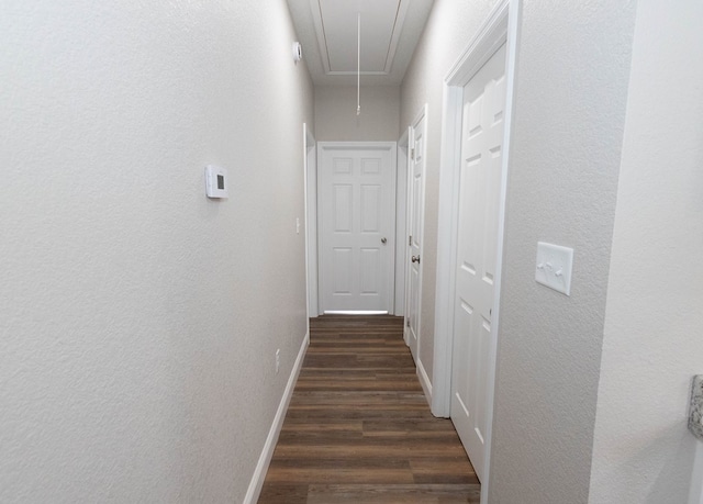 corridor featuring dark wood-type flooring