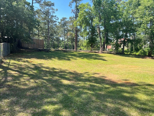 102 Spruce Pine Dr, Thomasville, GA 31757 - view of yard