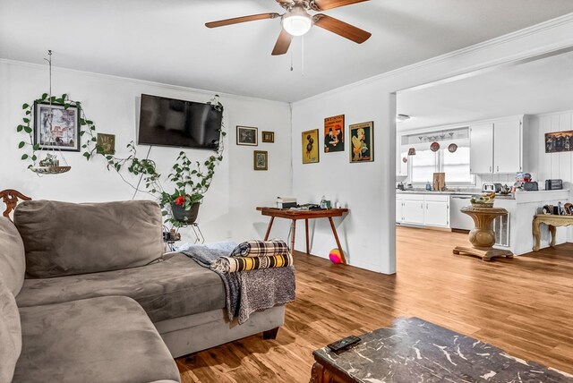 living room with crown molding, ceiling fan, and light hardwood / wood-style flooring