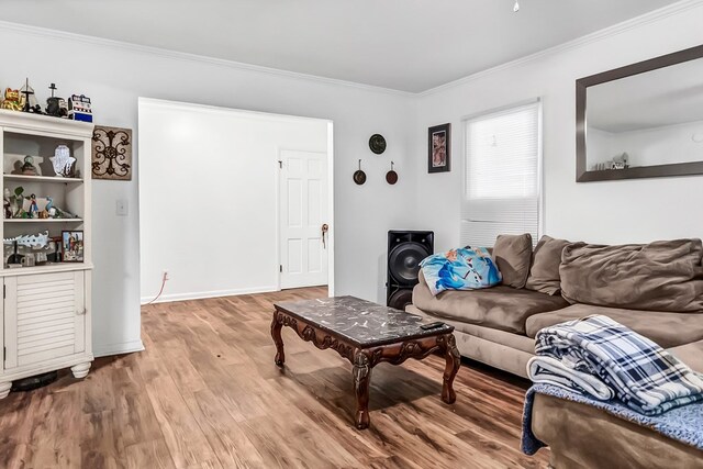 living room with crown molding and hardwood / wood-style floors