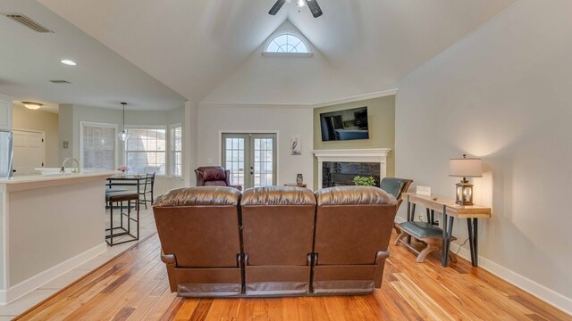 living room featuring a fireplace, light hardwood / wood-style floors, and a wealth of natural light