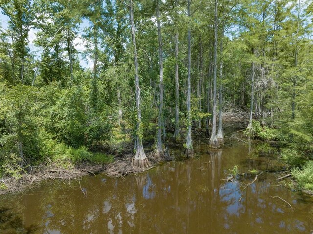 431 Dry Lake Rd, Boston, GA 31626 - photo 1