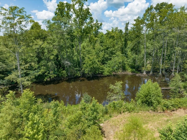 431 Dry Lake Rd, Boston, GA 31626 - photo 19