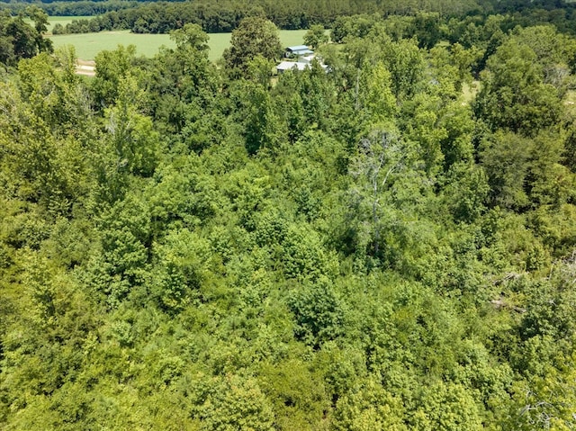 431 Dry Lake Rd, Boston, GA 31626 - photo 5