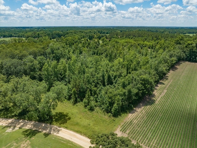 431 Dry Lake Rd, Boston, GA 31626 - photo 8