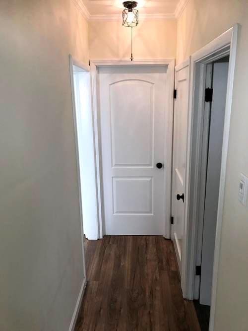 corridor featuring ornamental molding and dark wood-style flooring