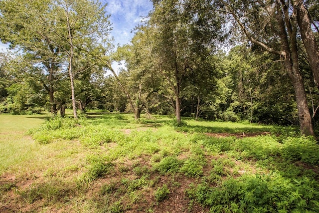 view of nature with a view of trees