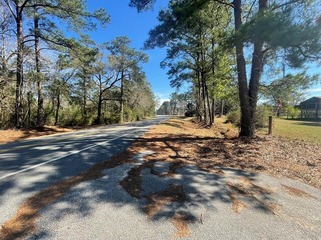 200220 Dillon Rd, Thomasville, GA 31757 - photo 54