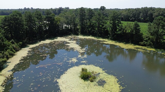 200220 Dillon Rd, Thomasville, GA 31757 - photo 8