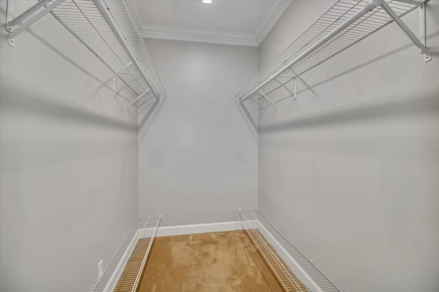 spacious closet with light carpet