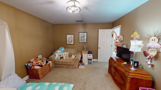 4311 Ozell Rd, Boston, GA 31626 - photo 36