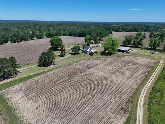 4311 Ozell Rd, Boston, GA 31626 - photo 57