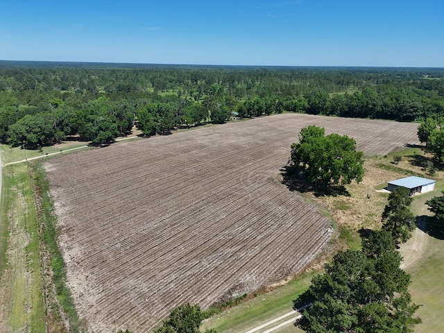 4311 Ozell Rd, Boston, GA 31626 - photo 56