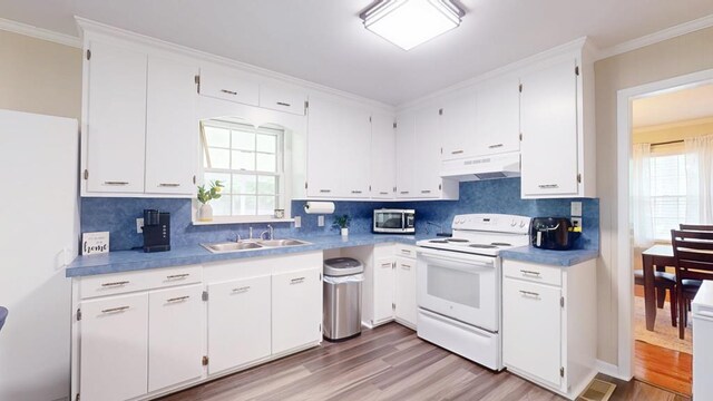 611 Patterson Still Rd, Thomasville, GA 31792 - kitchen with white range with electric cooktop, under cabinet range hood, a sink, stainless steel microwave, and light wood-style floors