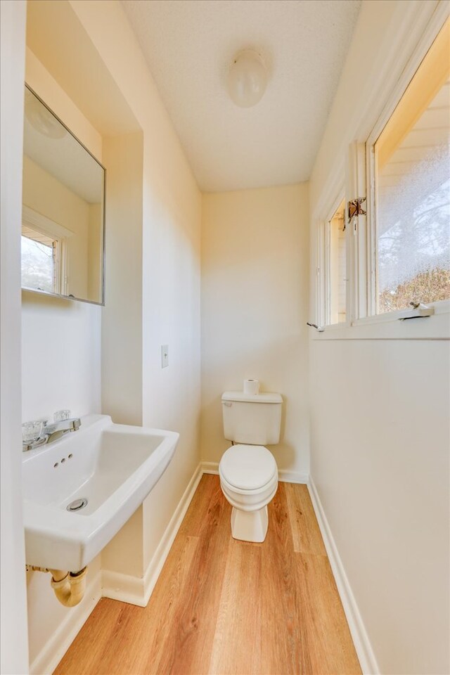 bathroom featuring sink, toilet, and hardwood / wood-style floors