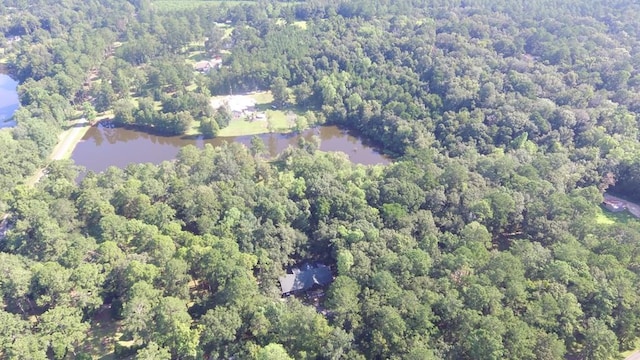 151 Lewis Rd, Cairo, GA 39828 - aerial overview of property's location with a forest and a large body of water