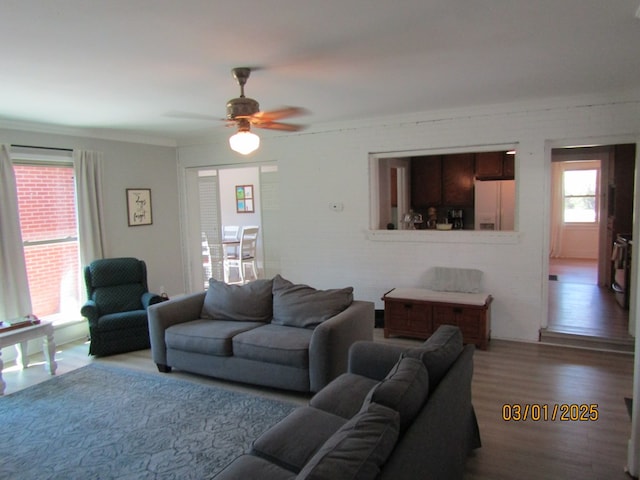 living area with ceiling fan and wood finished floors