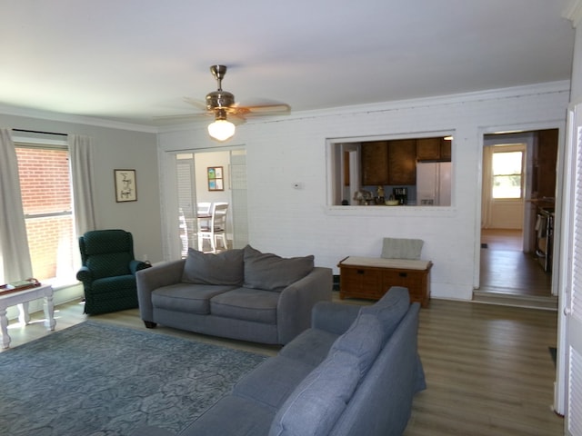 living room with ornamental molding, ceiling fan, and wood finished floors