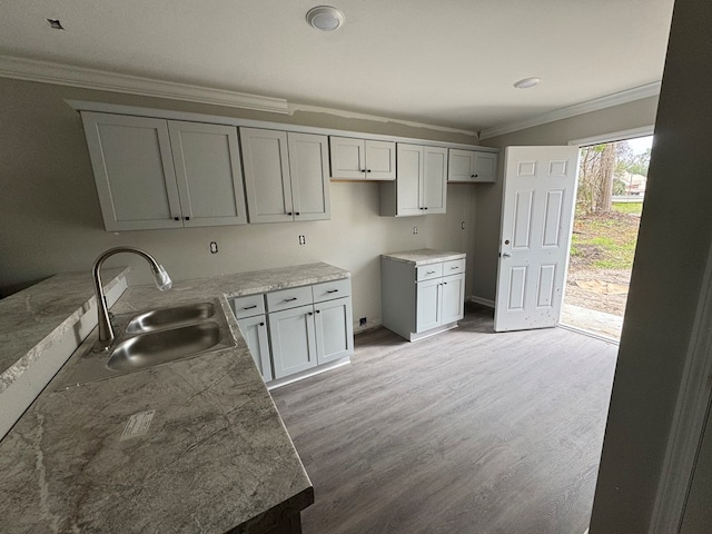 kitchen featuring crown molding, light wood-style flooring, and a sink