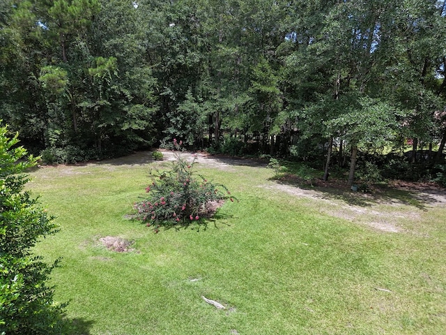 1193 S Broad St, Cairo, GA 39828 - photo 32