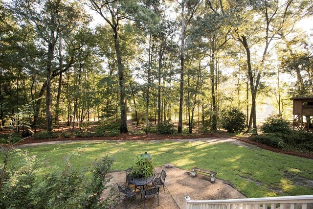 view of yard featuring a patio area