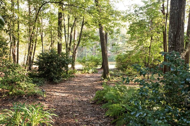 view of landscape