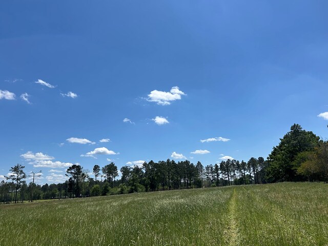 38.02AC Old Thomasville Rd, Ochlocknee, GA 31773