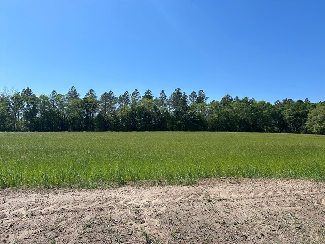 38.02AC Old Thomasville Rd, Ochlocknee, GA 31773