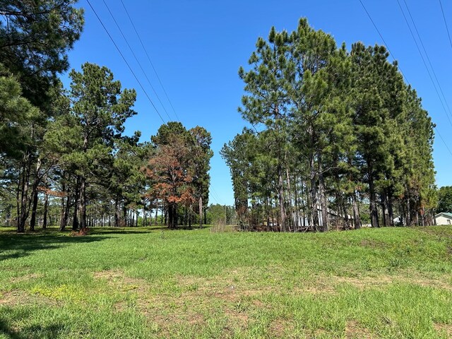 38.02AC Old Thomasville Rd, Ochlocknee, GA 31773