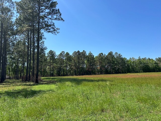 38.02AC Old Thomasville Rd, Ochlocknee, GA 31773