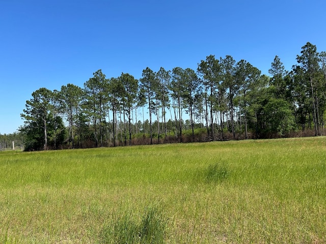 38.02AC Old Thomasville Rd, Ochlocknee, GA 31773