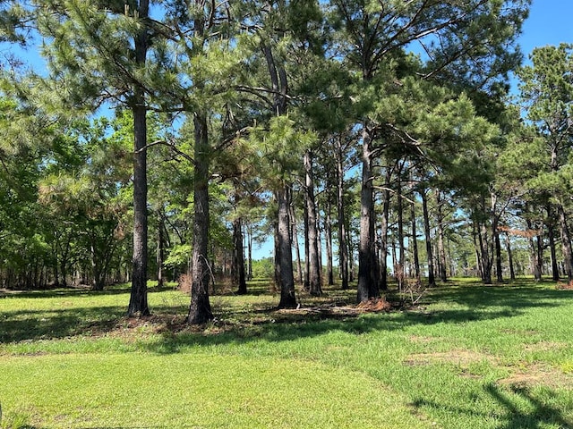 38.02AC Old Thomasville Rd, Ochlocknee, GA 31773