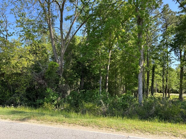 38.02AC Old Thomasville Rd, Ochlocknee, GA 31773