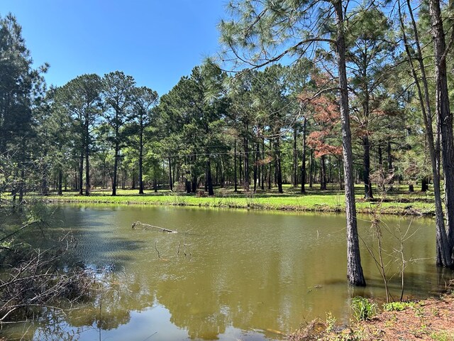 38.02AC Old Thomasville Rd, Ochlocknee, GA 31773