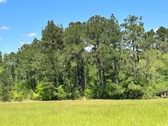 38.02AC Old Thomasville Rd, Ochlocknee, GA 31773