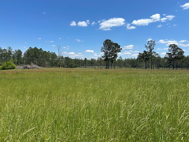 38.02AC Old Thomasville Rd, Ochlocknee, GA 31773